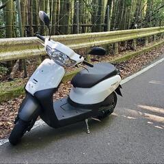 ホンダ　タクト　昨年(2024年)4月購入品　自賠責令和11まで