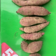 限定　家庭の焼き芋　　　早く焼きたて　　紅はるか　掘り立て　10キロの画像