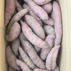 限定　家庭の焼き芋　　　早く焼きたて　　紅はるか　掘り立て　10キロ