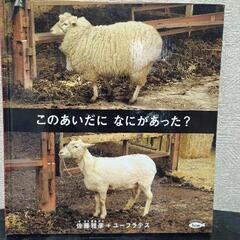 絵本｢このあいだになにがあった？｣