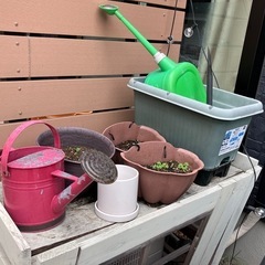 鉢植え、プランター類