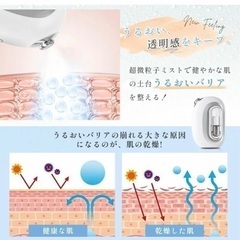 美顔器 スチーマー ハンディミスト 未使用 USB充電 の画像
