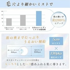 美顔器 スチーマー ハンディミスト 未使用 USB充電 の画像