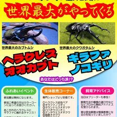 ブランチ茅ヶ崎３にてカブトムシ・クワガタの催事を行います♪(雨天決行)