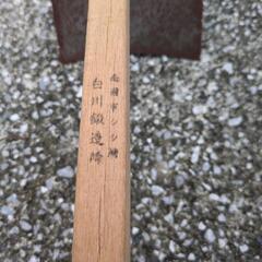 桑の画像