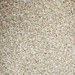 令和6年度　新米　ハツシモ　30kg 玄米