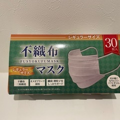 大人用マスク1箱30枚入りの画像
