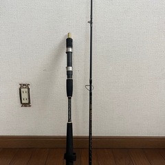 リールセット　セドナ　プロマリン　s602M　