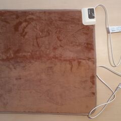 【新品】アイリスオーヤマ ホットマット 60×60cm HCM-...