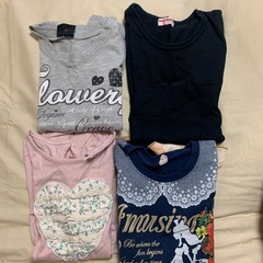 130㎝　春秋の画像