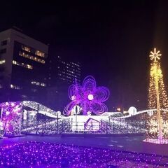 さっぽろホワイトイルミネーションでのフォトスタッフ大募集！の画像