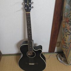 Jamesのエレアコ（ピックアップ不良で生音のみ）の画像