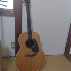 アップルーズのアコギの画像