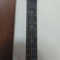 アップルーズのアコギの画像