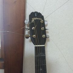 アップルーズのアコギの画像