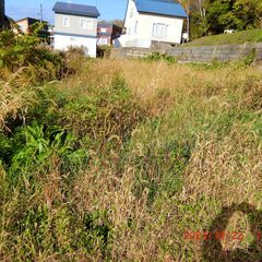 お願いする方が決定致しました　草刈り　問合せありがとうございました　 - 助け合い