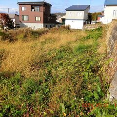 お願いする方が決定致しました　草刈り　問合せありがとうございました　 - 赤平市