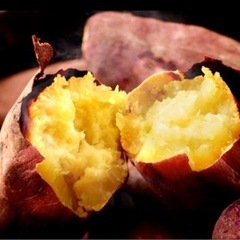 ①【久万高原産】紅はるか　さつまいも　正味2kg強