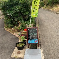 【年内ラスト】 メダカ好き交流会