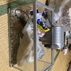 金魚飼育セット　引越し処分