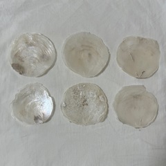 カピスシェル カピス貝 6枚セットの画像