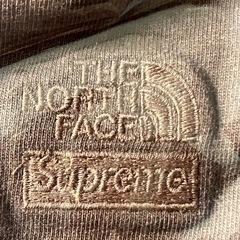 Supreme®/The North Face®  Pigment Printed L/S Topの画像