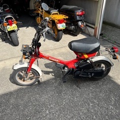 11月セール車体の画像