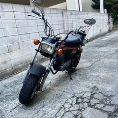 11月セール車体の画像