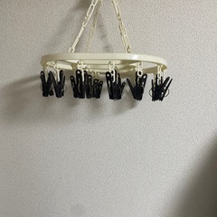 洗濯バサミ