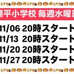 個人参加型フットサル　ちむドンドン11月日程 - スポーツ
