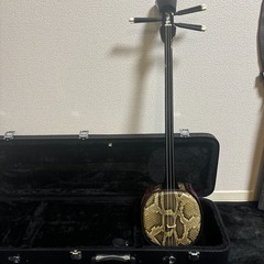 【希少】 沖縄三味線  本革　蛇皮 3本弦