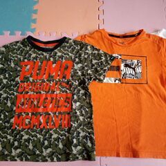 140サイズ　プーマ　PUMA　Tシャツ　2枚　adidas　1枚の画像