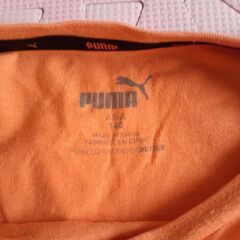 140サイズ　プーマ　PUMA　Tシャツ　2枚　adidas　1枚の画像