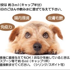 犬用サプリメントの画像