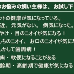 犬用サプリメントの画像