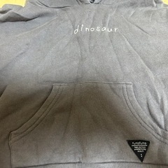 恐竜　裏起毛　パーカー　100cmの画像