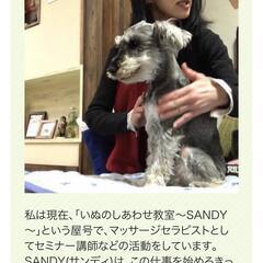 【1day講座】＜家族みんなで学ぼう＞ 飼い主さん. だからこそのおうちケアの2本立ての画像