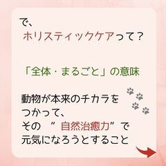 【1day講座】＜家族みんなで学ぼう＞ 飼い主さん. だからこそのおうちケアの2本立ての画像