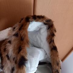 着ぐるみ?!ひょうロンパースの画像