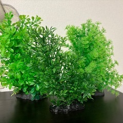 人工水草３点セット