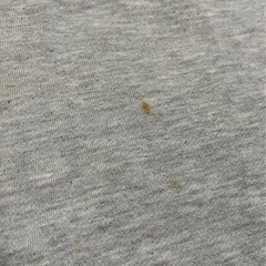 チャンピオン ボア 裏起毛 ネイビー＆グレー #Lの画像