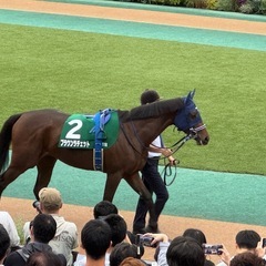 競馬仲間募集！ - 友達