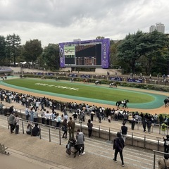 競馬仲間募集！ − 東京都