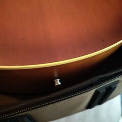 アコギー　Seagull Entourage の画像