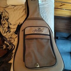 アコギー　Seagull Entourage の画像