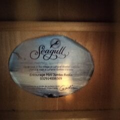 アコギー　Seagull Entourage の画像