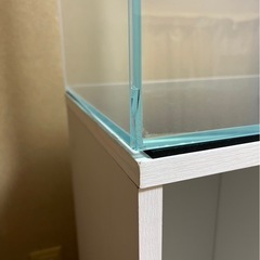 ADA 60cm 水槽の画像