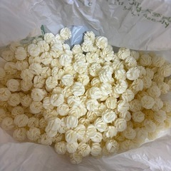 エーハイム2213の画像