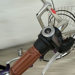京都自転車組合 着物用自転車 3段変速 KOTO-LX20 若紫 20インチの画像