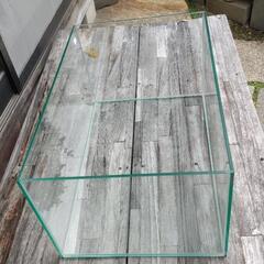 新春値下げ　ガラス水槽の画像
